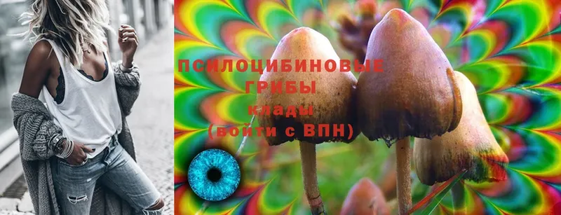 Галлюциногенные грибы MAGIC MUSHROOMS  Александровск-Сахалинский 